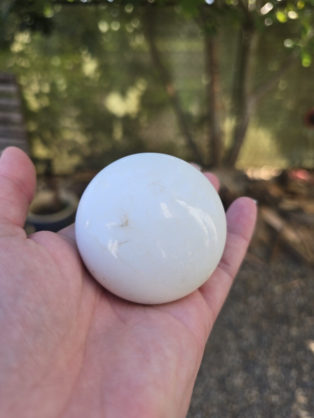 Vtg Antique Smooth White Stone Sphere - Polished Palm Stone Doorknob